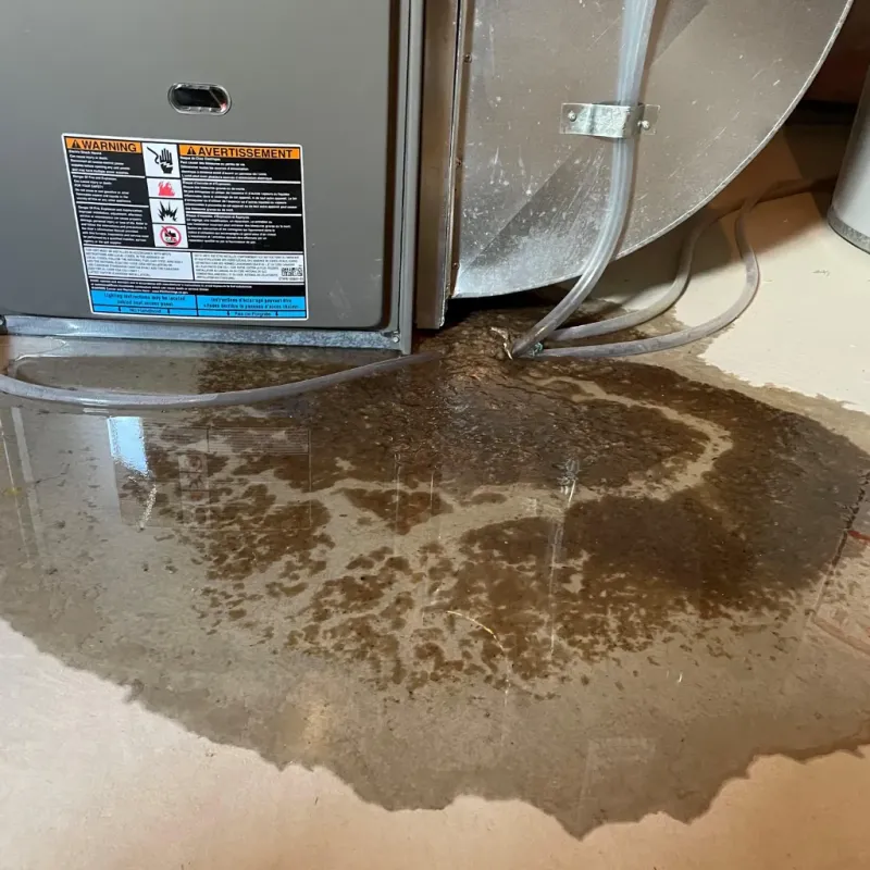 Appliance Leak Cleanup in Pittsylvania County, VA